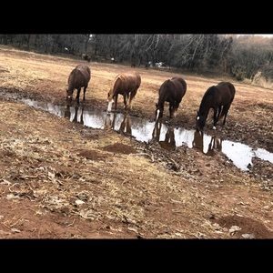 Meet your Posher, Lilly